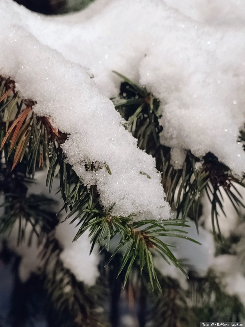 Новогодние мандариновые Лабубу (фото 7)