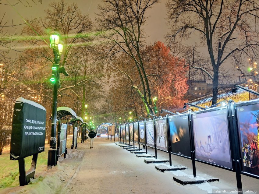 Ха и Маша в январе | Бэйбики Ха и Маша в январе — Игровые куклы Zwergnase (Цвергназе) Junior: Джуниор