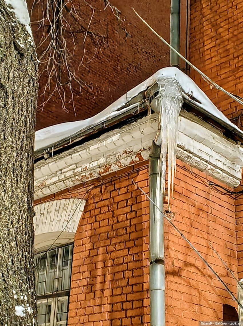 Ха и Маша в январе | Бэйбики Ха и Маша в январе — Игровые куклы Zwergnase (Цвергназе) Junior: Джуниор