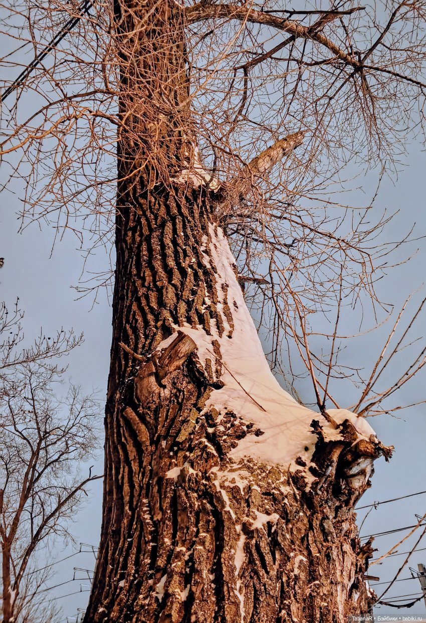 Ха и Маша в январе | Бэйбики Ха и Маша в январе — Игровые куклы Zwergnase (Цвергназе) Junior: Джуниор