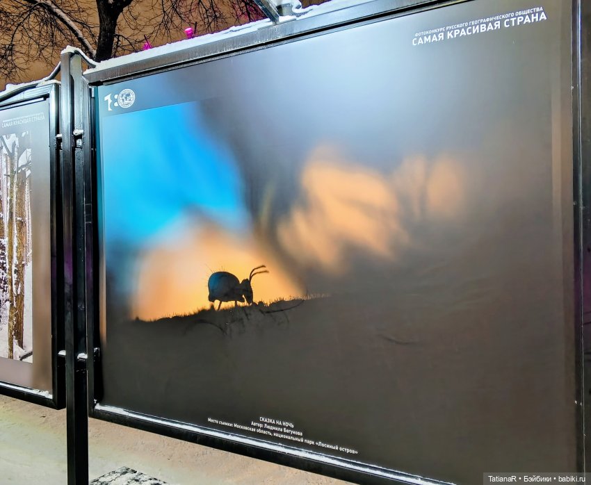 Ха и Маша в январе | Бэйбики Ха и Маша в январе — Игровые куклы Zwergnase (Цвергназе) Junior: Джуниор