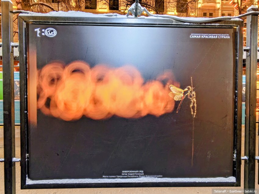 Ха и Маша в январе | Бэйбики Ха и Маша в январе — Игровые куклы Zwergnase (Цвергназе) Junior: Джуниор