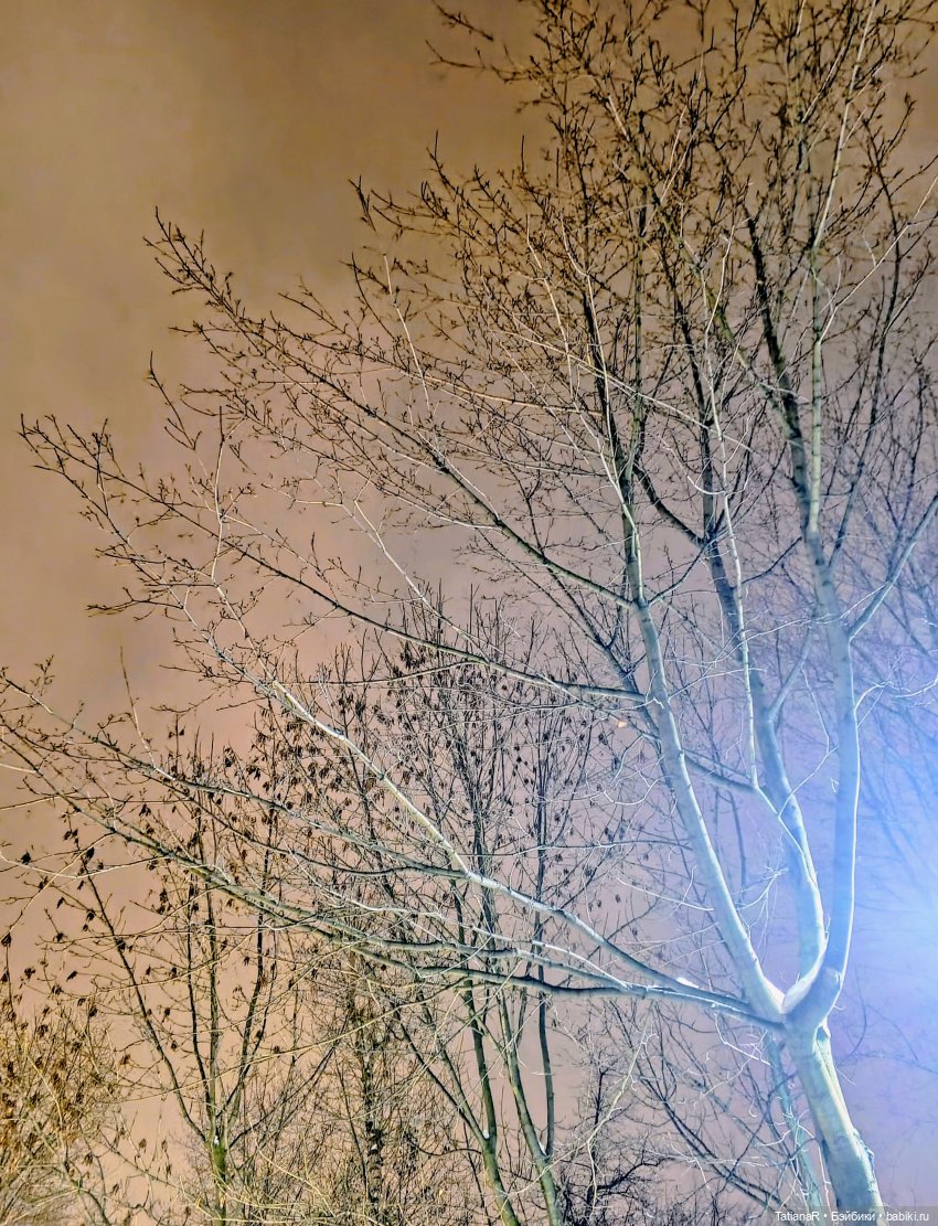 Zsiga и К' — Фигурки Pop Mart (Поп Март): Blind Box