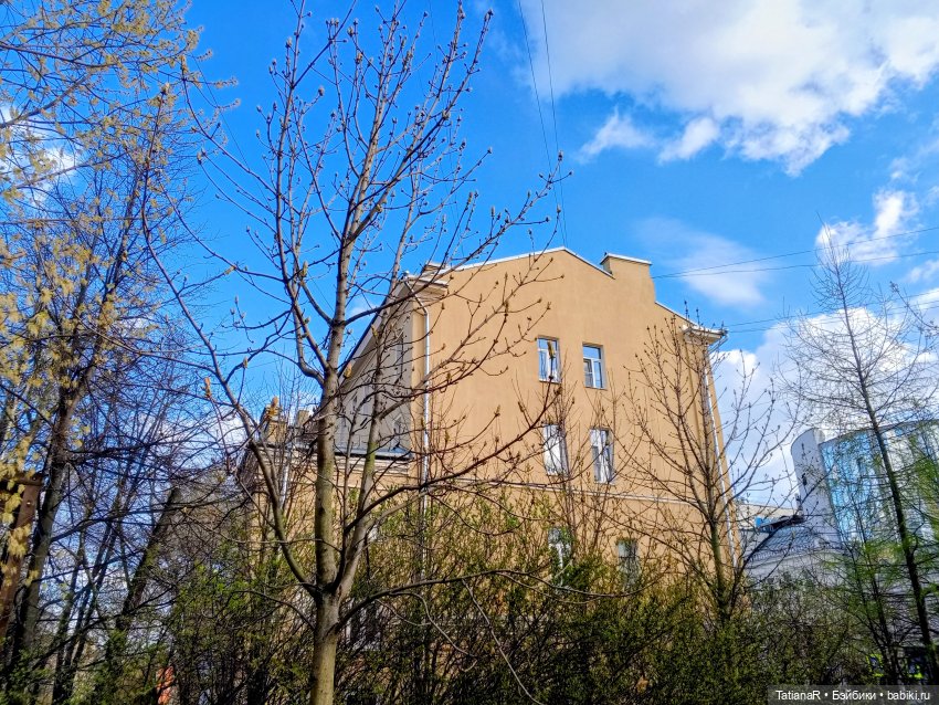 Протесты в кукольном семействе