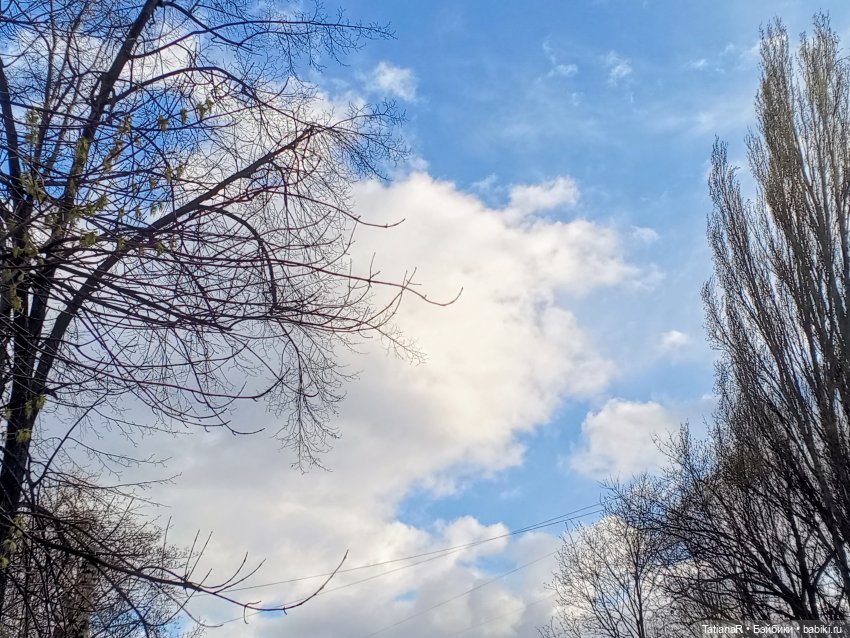Протесты в кукольном семействе