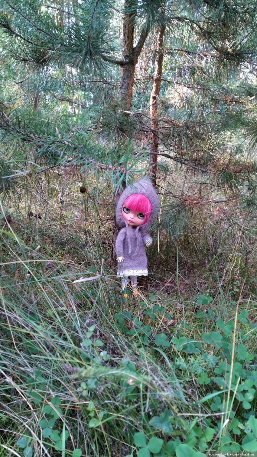 Лесная ведьмочка — Разные шарнирные куклы (не БЖД): редкие