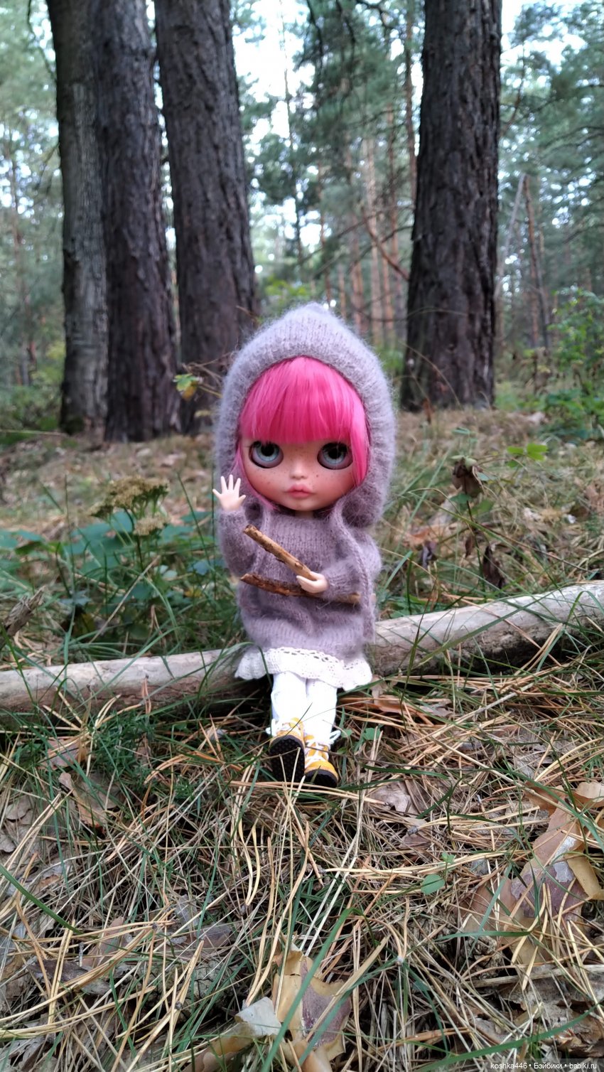 Лесная ведьмочка — Разные шарнирные куклы (не БЖД): редкие (фото 5)