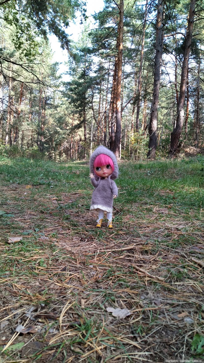 Лесная ведьмочка — Разные шарнирные куклы (не БЖД): редкие (фото 2)