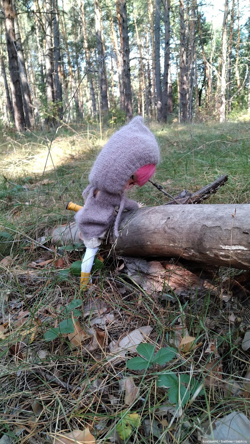 Лесная ведьмочка — Разные шарнирные куклы (не БЖД): редкие (фото 10)