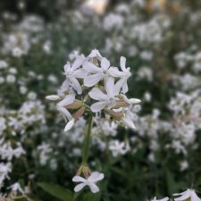 Немного некукольных фото