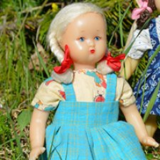 Звездочки в лесу