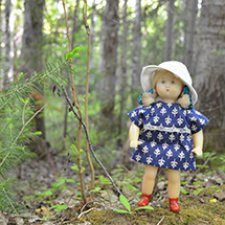 Звездочка и северное лето