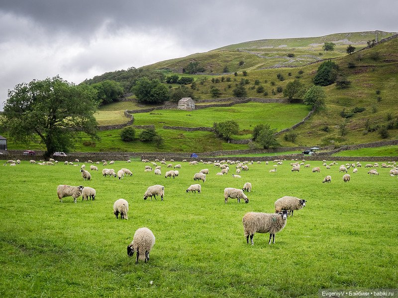 Почему немецкие куклы лучше английских (экспертное мнение из Йоркшира) (фото 3)