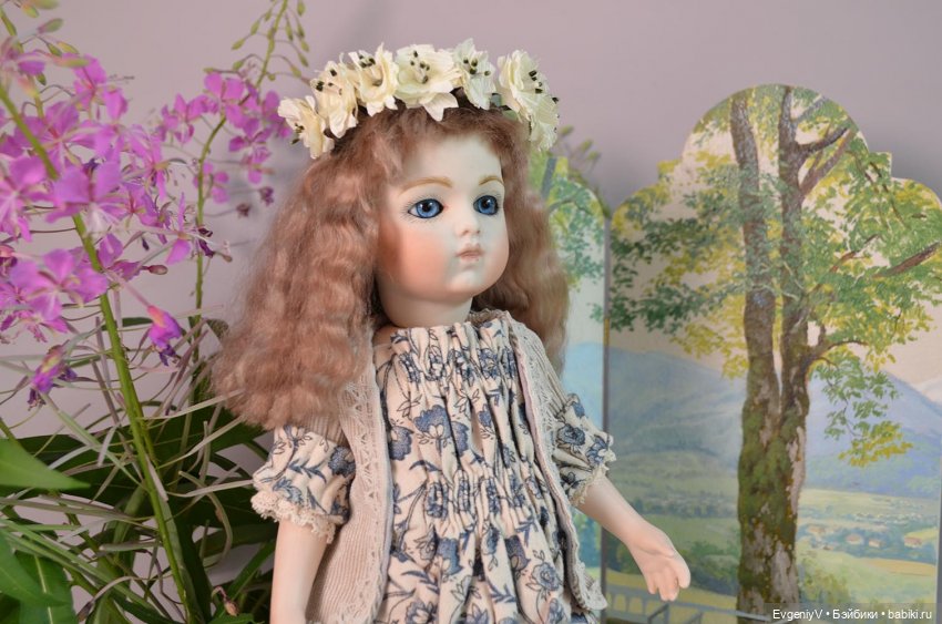 Кипрей цветет - Брю гулять идет (фото 6)