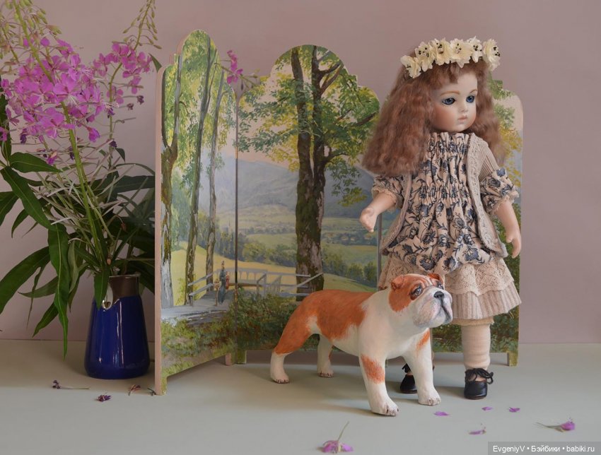 Кипрей цветет - Брю гулять идет (фото 3)