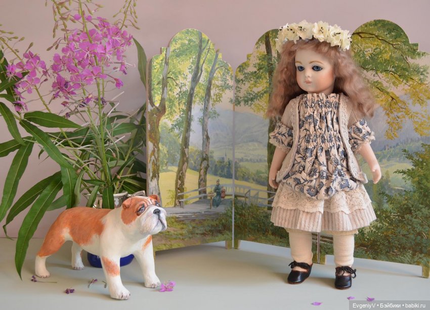 Кипрей цветет - Брю гулять идет (фото 4)