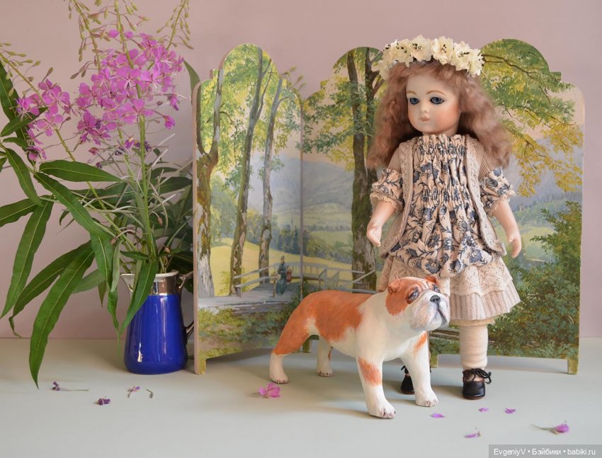 Кипрей цветет - Брю гулять идет (фото 2)