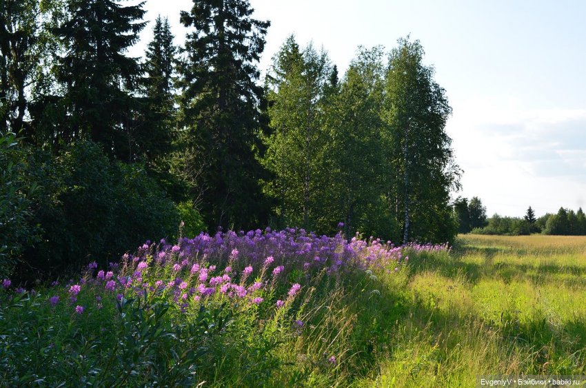 Пленэр вместе с Брю. Как я работаю