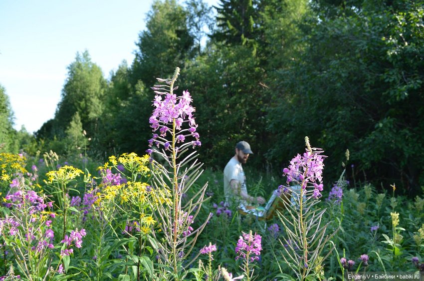 Пленэр вместе с Брю. Как я работаю (фото 4)