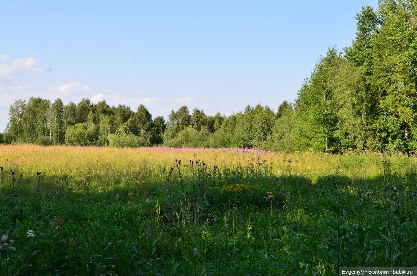 Пленэр вместе с Брю. Как я работаю (фото 2)