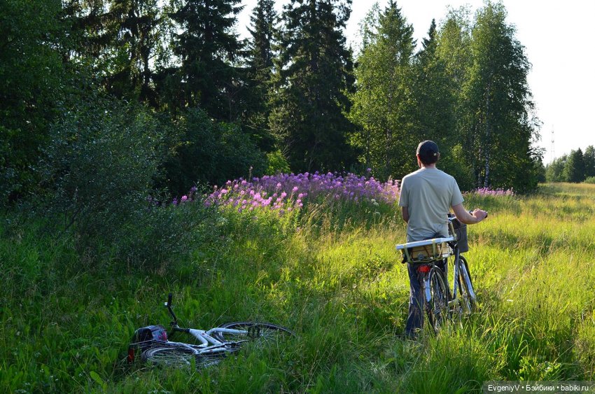 Пленэр вместе с Брю. Как я работаю