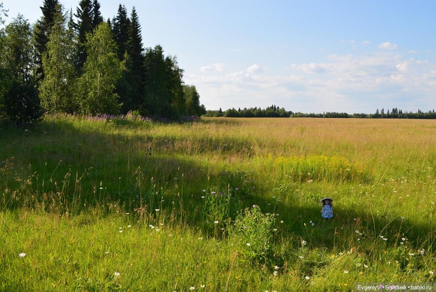 Пленэр вместе с Брю. Как я работаю (фото 9)