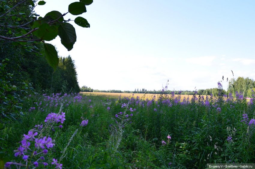 Пленэр вместе с Брю. Как я работаю