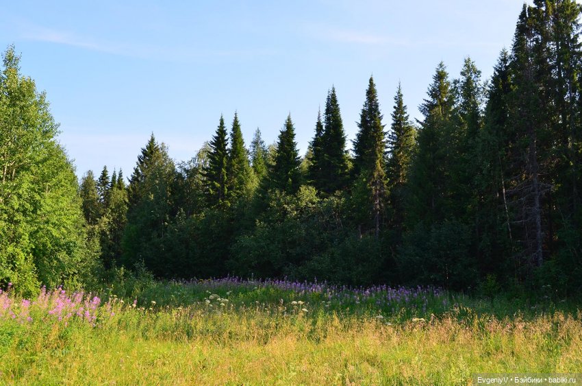 Пленэр вместе с Брю. Как я работаю (фото 3)