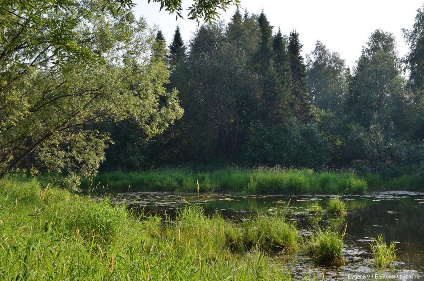 Брю в августовской дымке. Продолжение пленэра (фото 4)