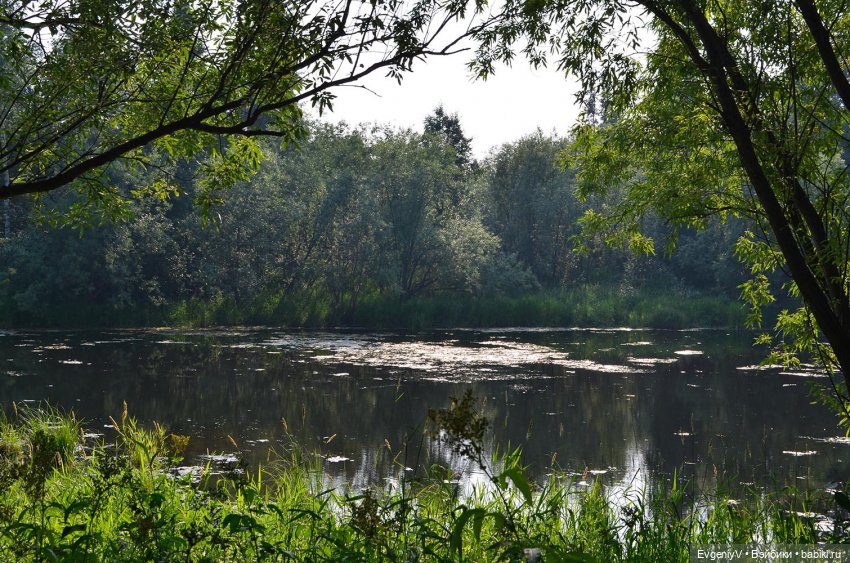 Брю в августовской дымке. Продолжение пленэра