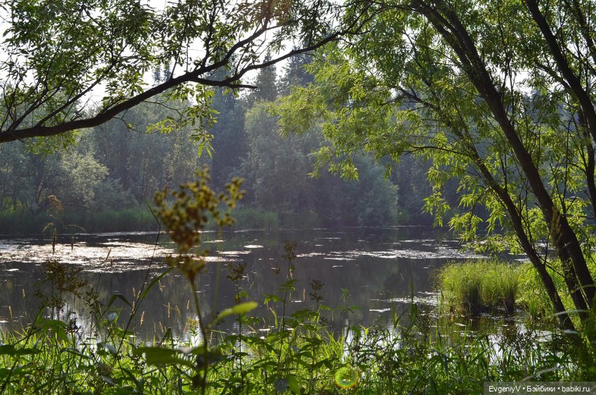 Брю в августовской дымке. Продолжение пленэра (фото 3)