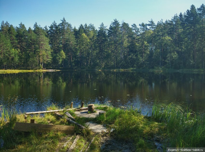 Игрушки маленькой ленинградки (фото 7)