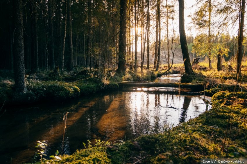Игрушки маленькой ленинградки (фото 8)