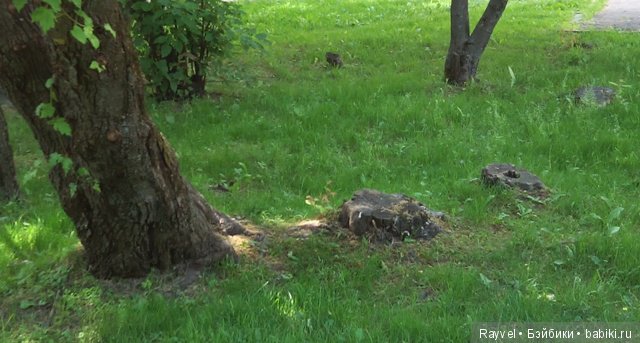 Маленькая немочка — Винтажные куклы ГДР (Немки): Бигги