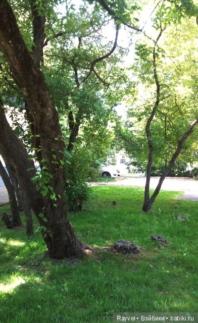 Маленькая немочка — Винтажные куклы ГДР (Немки): Бигги