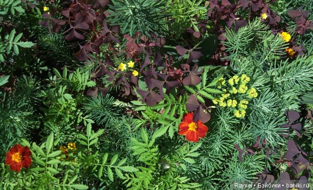 Маленькая немочка — Винтажные куклы ГДР (Немки): Бигги