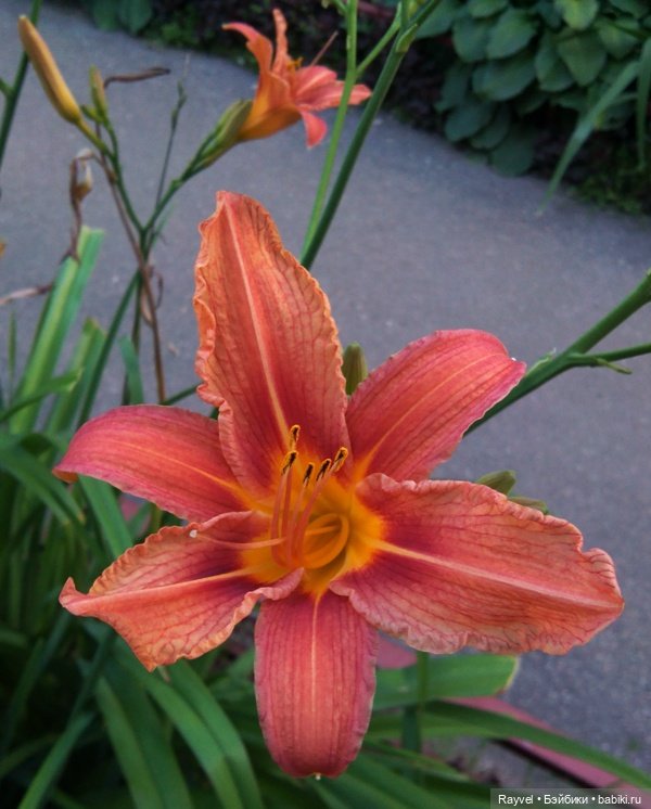 Эля от "Весны" — Российские куклы Весна