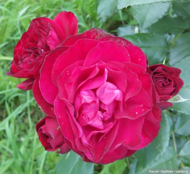 Эля от "Весны" — Российские куклы Весна