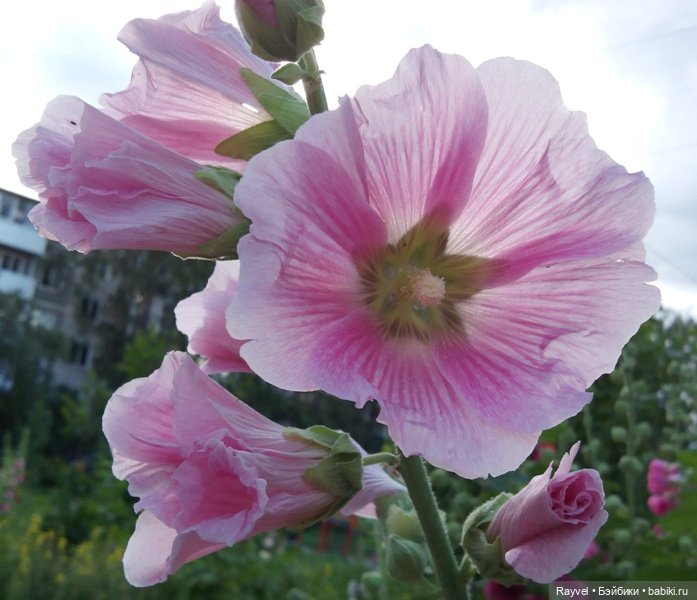 Эля от "Весны" — Российские куклы Весна