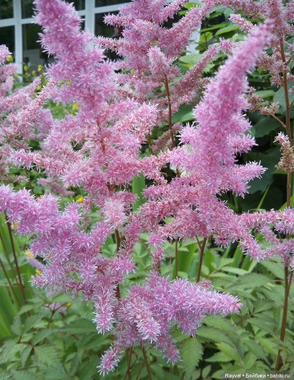 Эля от "Весны" — Российские куклы Весна (фото 8)