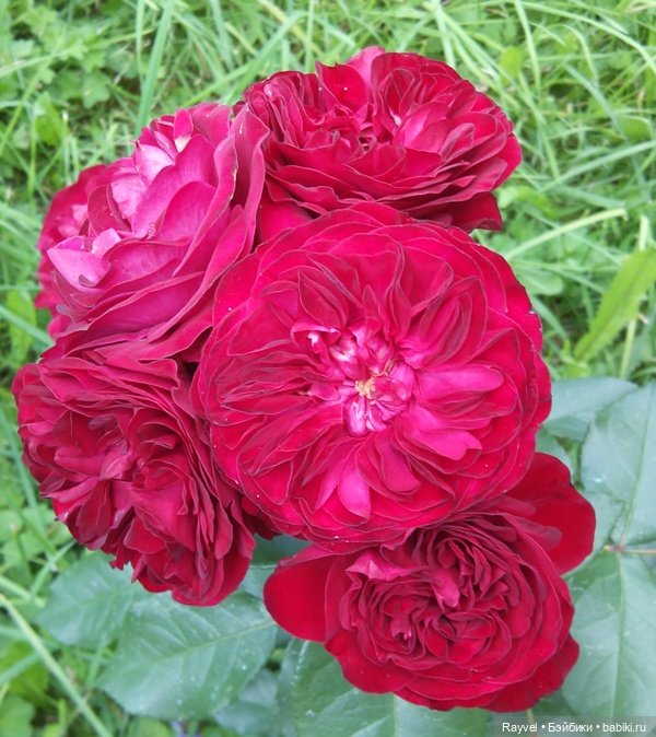 Эля от "Весны" — Российские куклы Весна