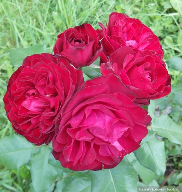 Эля от "Весны" — Российские куклы Весна