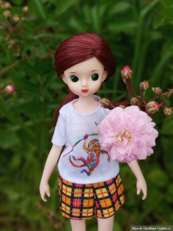 Черри Джелли (Imomodoll) — Азиатские виниловые куклы (разное): Китай