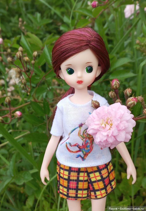 Черри Джелли (Imomodoll) — Азиатские виниловые куклы (разное): Китай (фото 2)