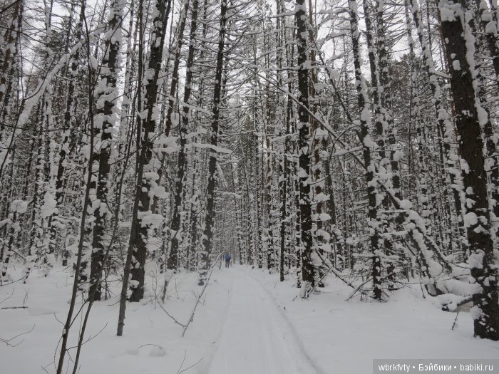 Прогулка Лизы | Бэйбики Прогулка Лизы — Болталка и разговоры обо всем: жизнь