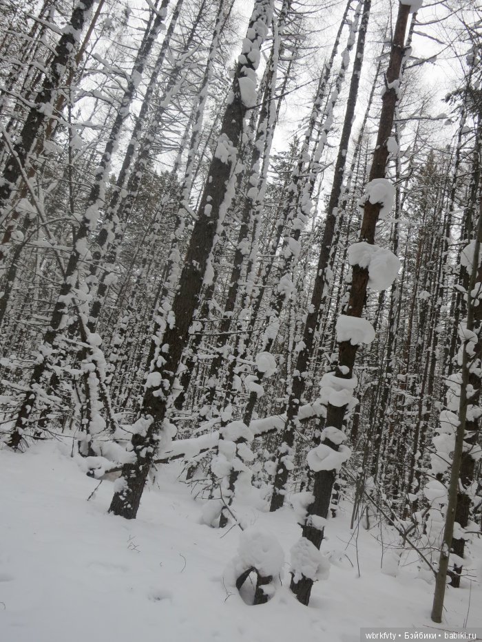 Прогулка Лизы | Бэйбики Прогулка Лизы — Болталка и разговоры обо всем: жизнь (фото 2)