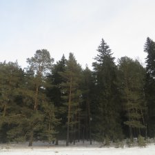 Дыхание весны