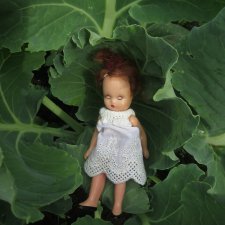 Нэнси во саду ли в огороде