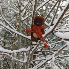 Зимняя сказка