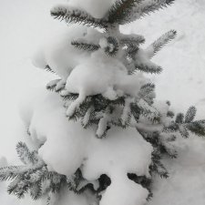 Немного зимы